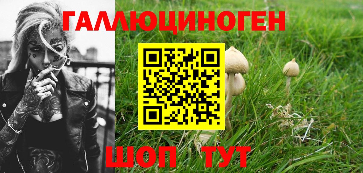 Псилоцибиновые грибы прущие грибы Дальнереченск